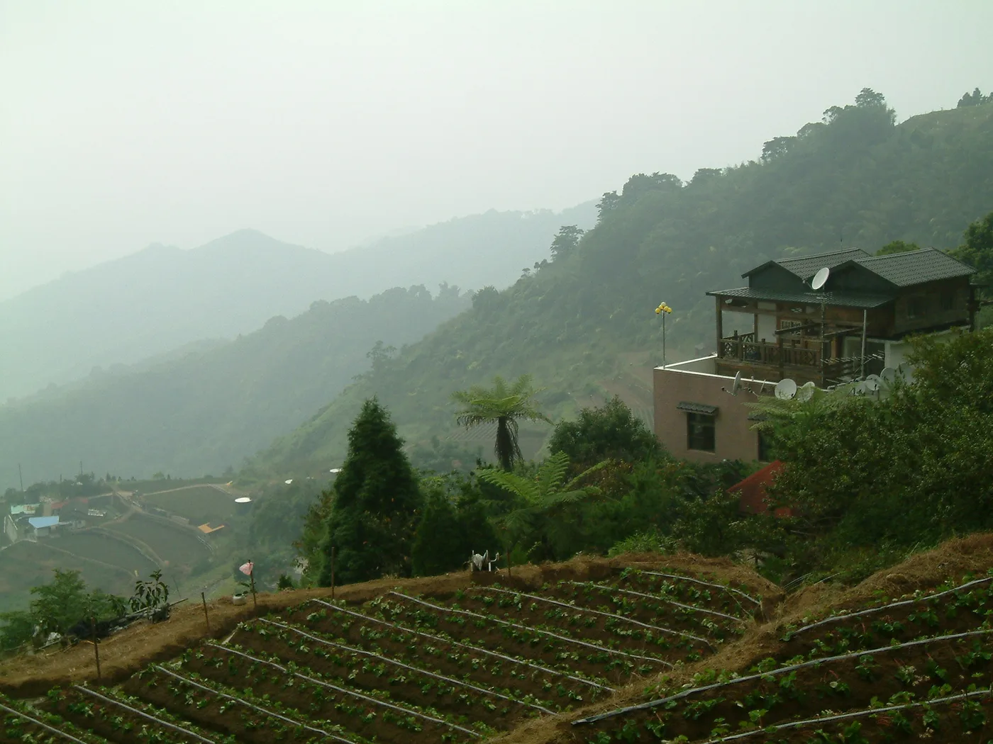 馬拉邦山，第 5 張照片（image59.jpeg）