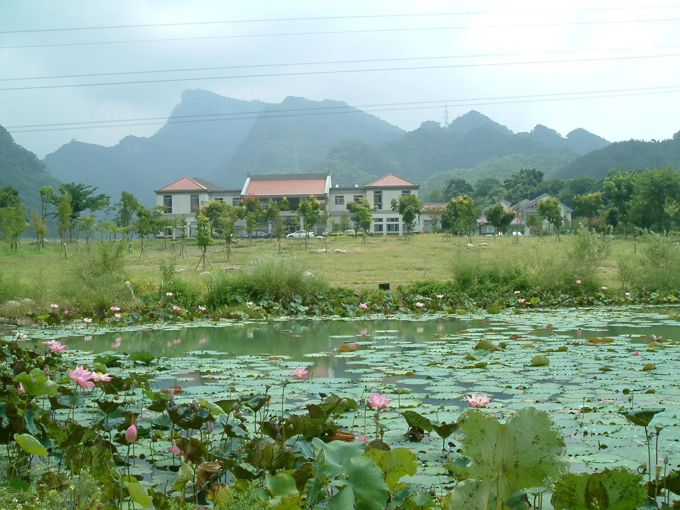 馬拉邦山，第 8 張照片（image62.jpeg）