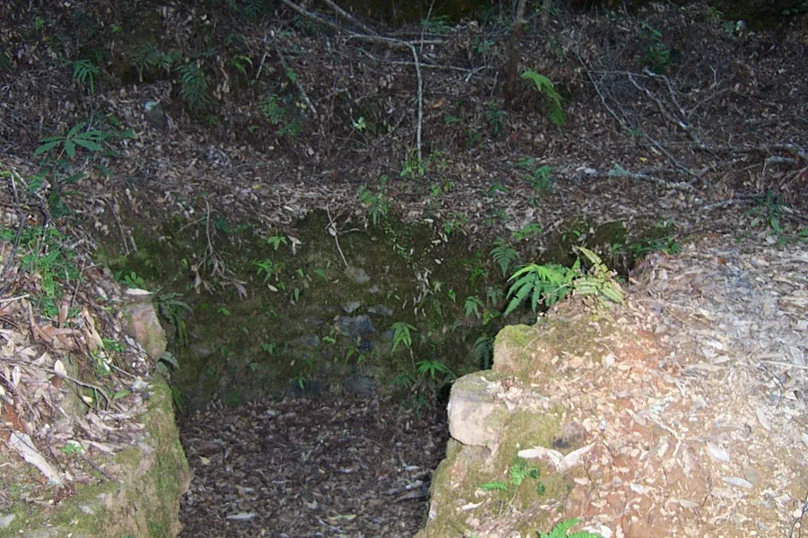 關山越嶺古道，第 3 張照片（image69.jpeg）