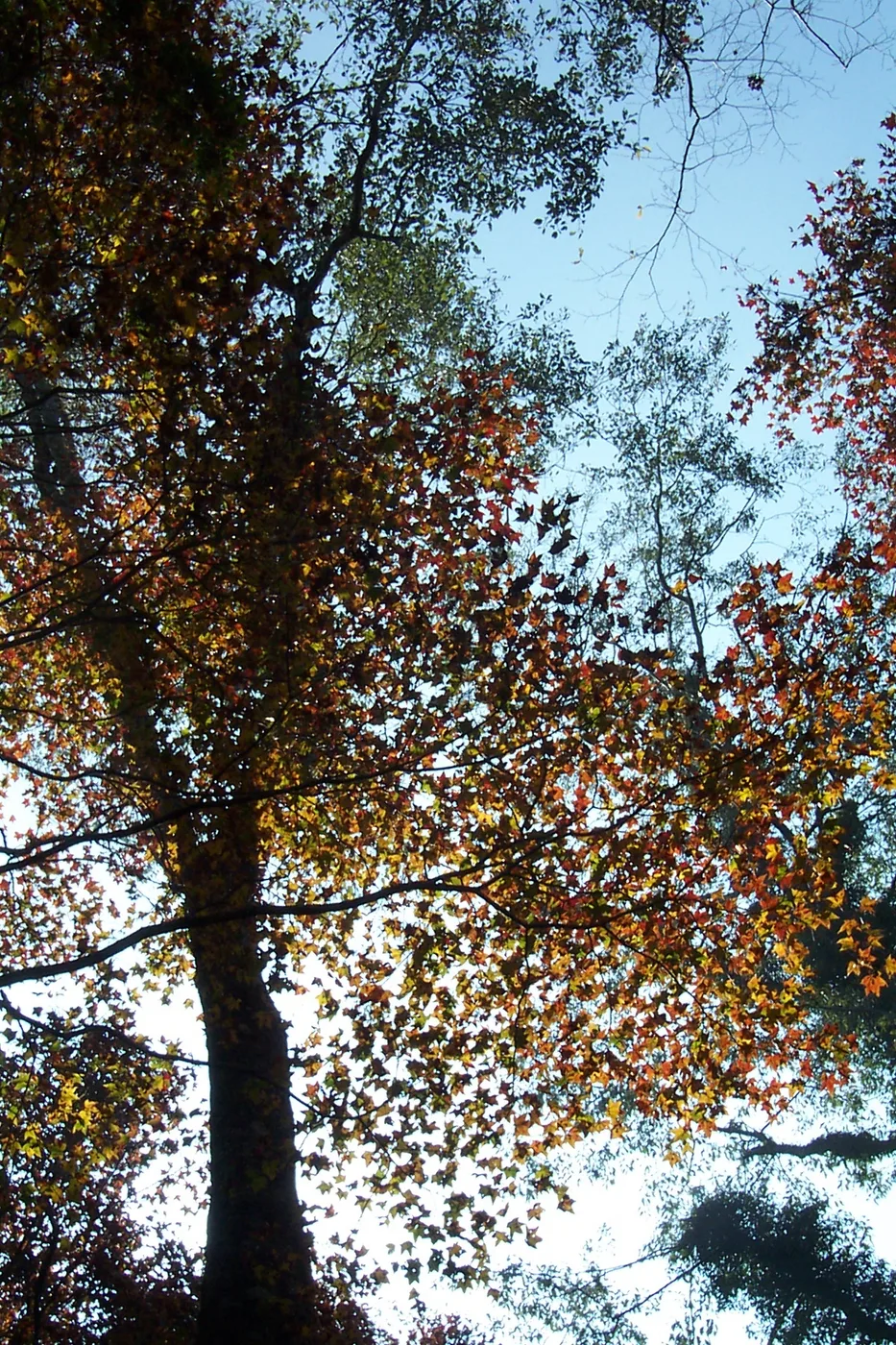 關山越嶺古道，第 6 張照片（image72.jpeg）