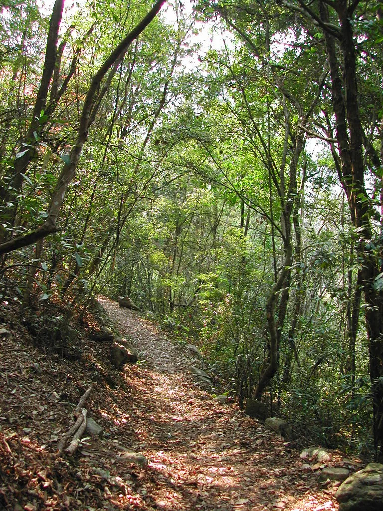 東卯山，第 1 張照片（image78.jpeg）