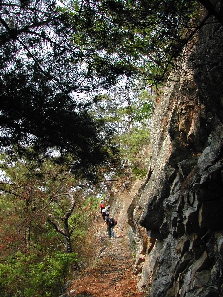 東卯山，第 4 張照片（image81.jpeg）