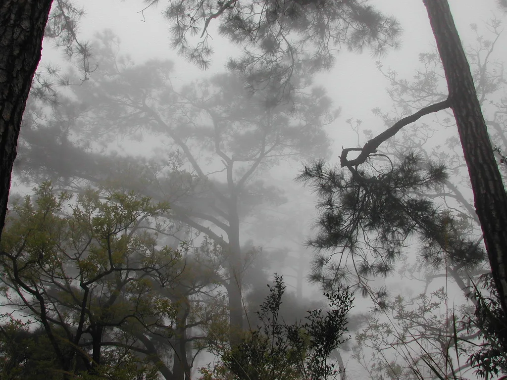 東卯山，第 9 張照片（image86.jpeg）