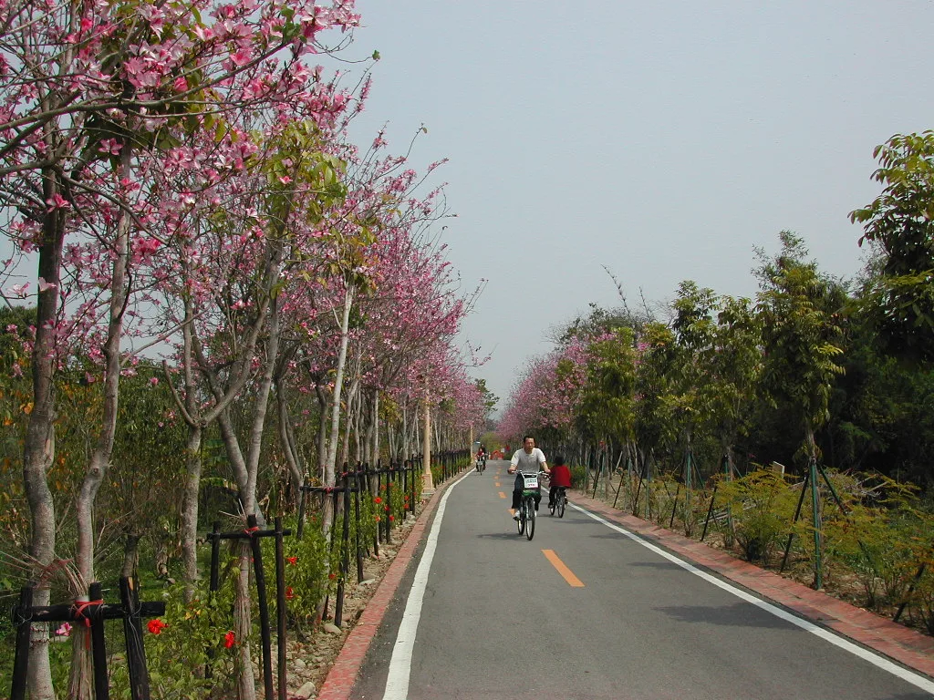東卯山，第 16 張照片（image93.jpeg）