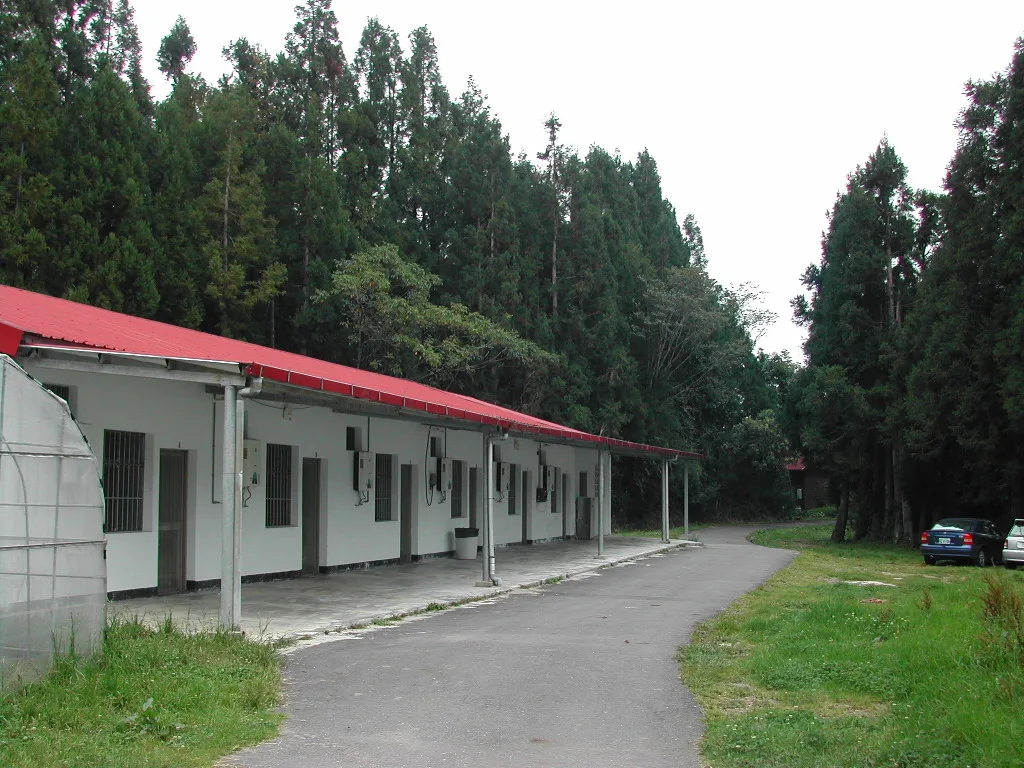 梅峰農場自然生態體驗營，第 3 張照片（image99.jpeg）