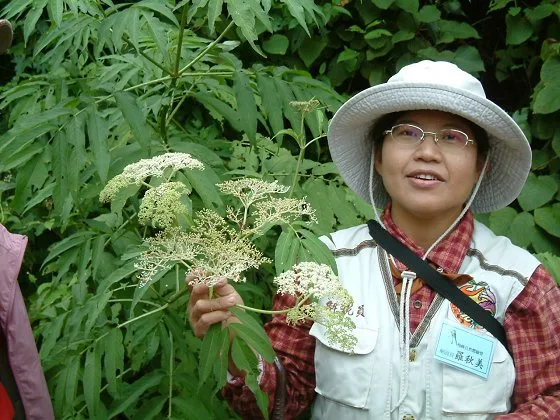 梅峰農場自然生態體驗營，第 4 張照片（image100.jpeg）