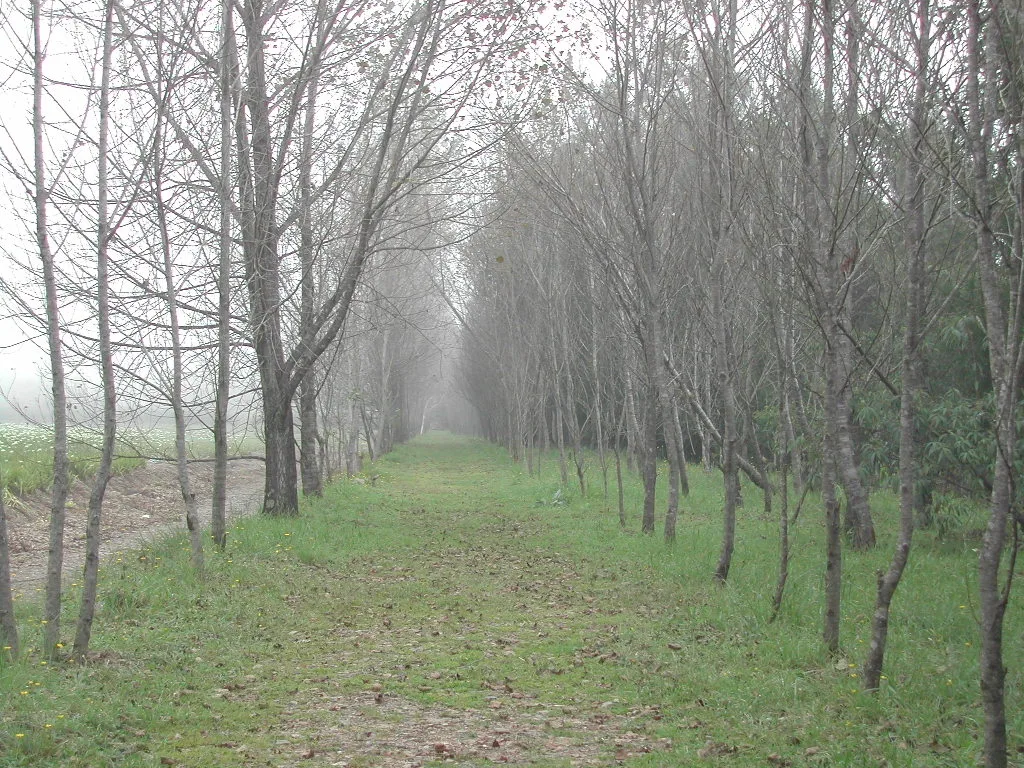 梅峰農場自然生態體驗營，第 11 張照片（image107.jpeg）