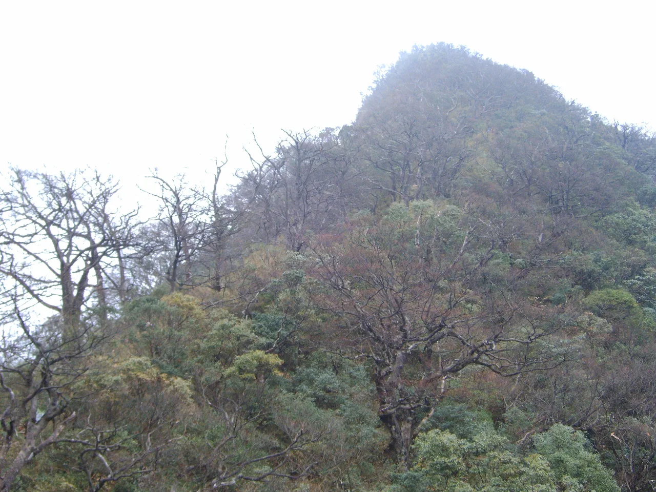 北插天山(二訪)，第 6 張照片（image164.jpeg）