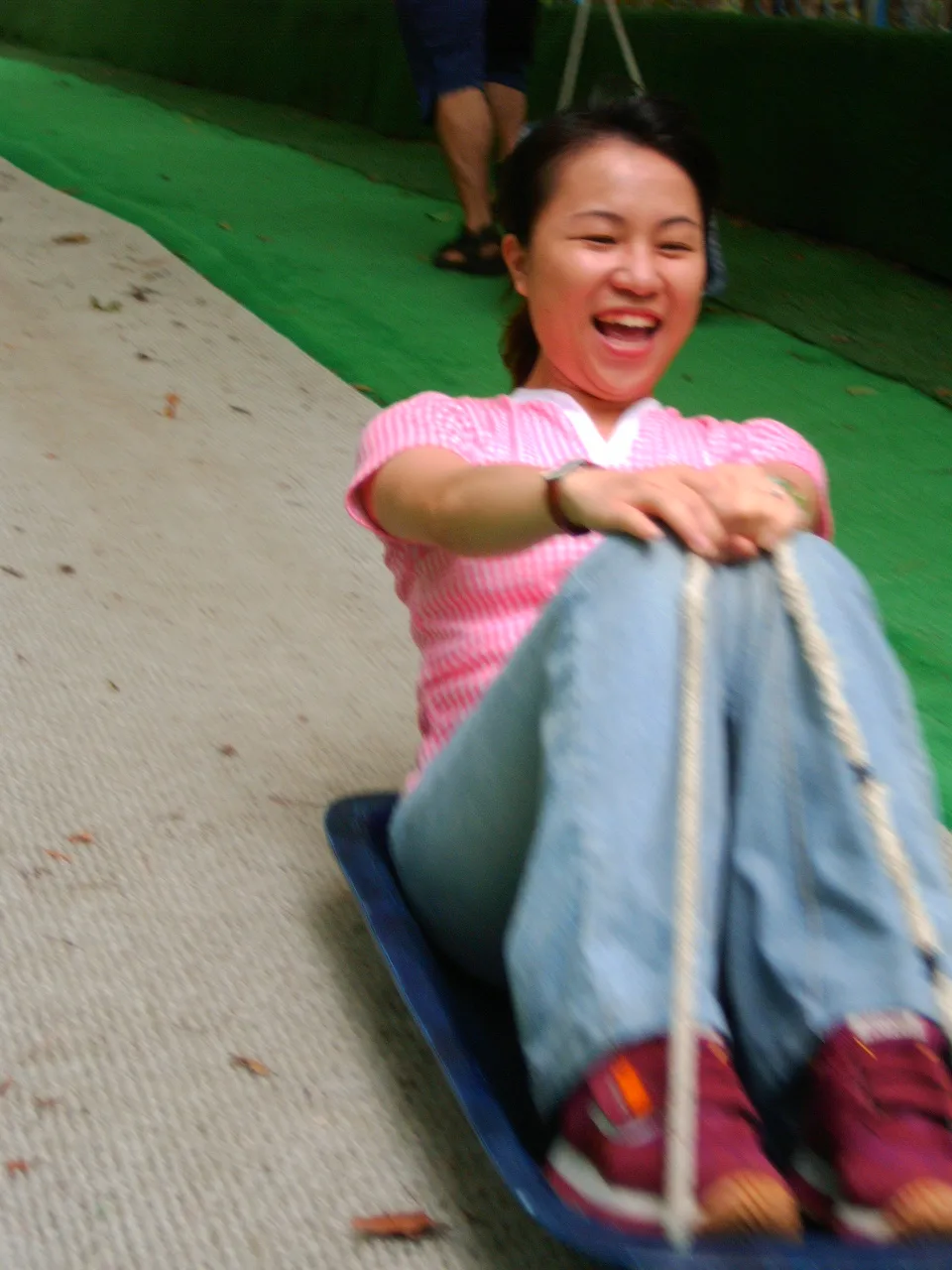 東勢林場賞油桐花及螢火蟲之旅，第 8 張照片（image131.jpeg）