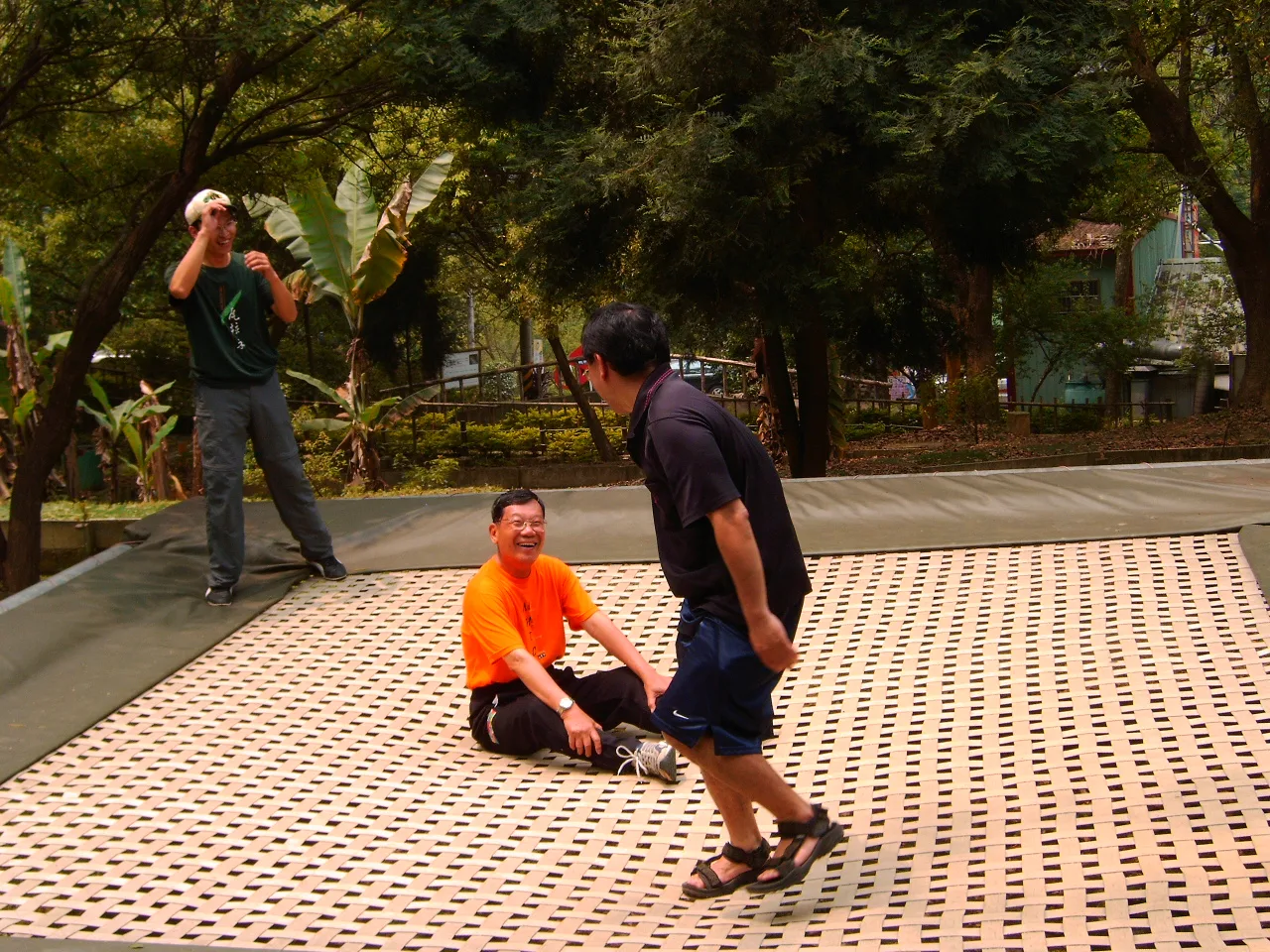 東勢林場賞油桐花及螢火蟲之旅，第 11 張照片（image134.jpeg）