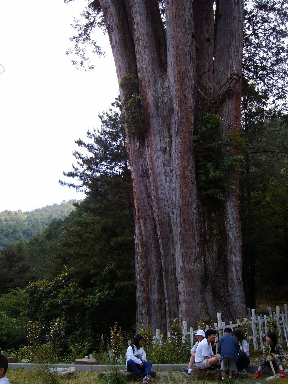大雪山森林遊樂區迎新活動，第 4 張照片（image152.jpeg）