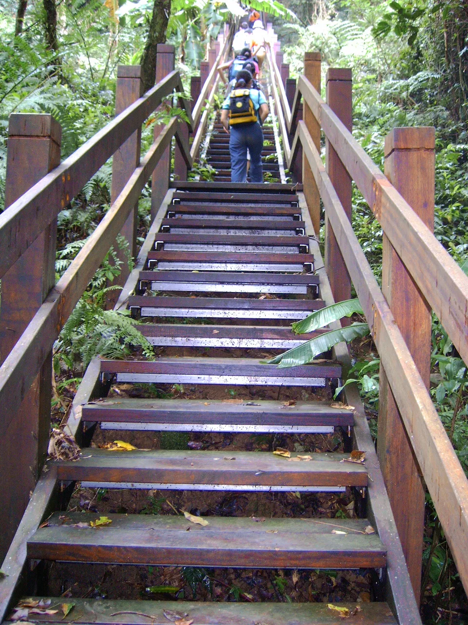 北埔五指山，第 4 張照片（image176.jpeg）