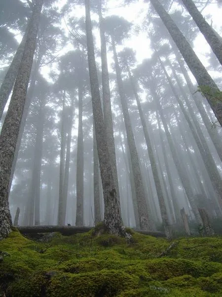 雪山東主峰，第 6 張照片（image191.jpeg）