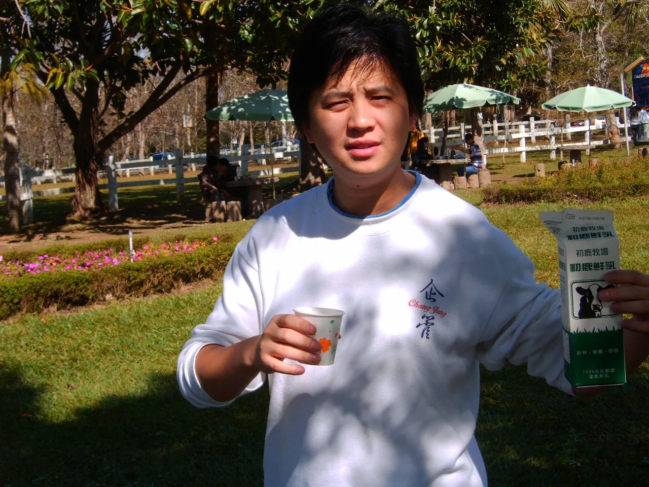 台東太麻里之旅，第 4 張照片（image212.jpeg）