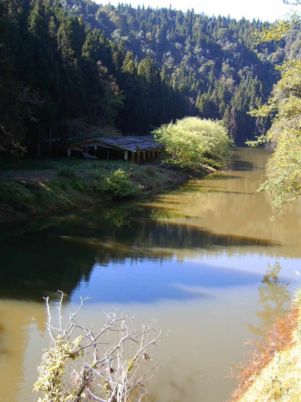 溪頭杉林溪步道健行，第 1 張照片（image220.jpeg）