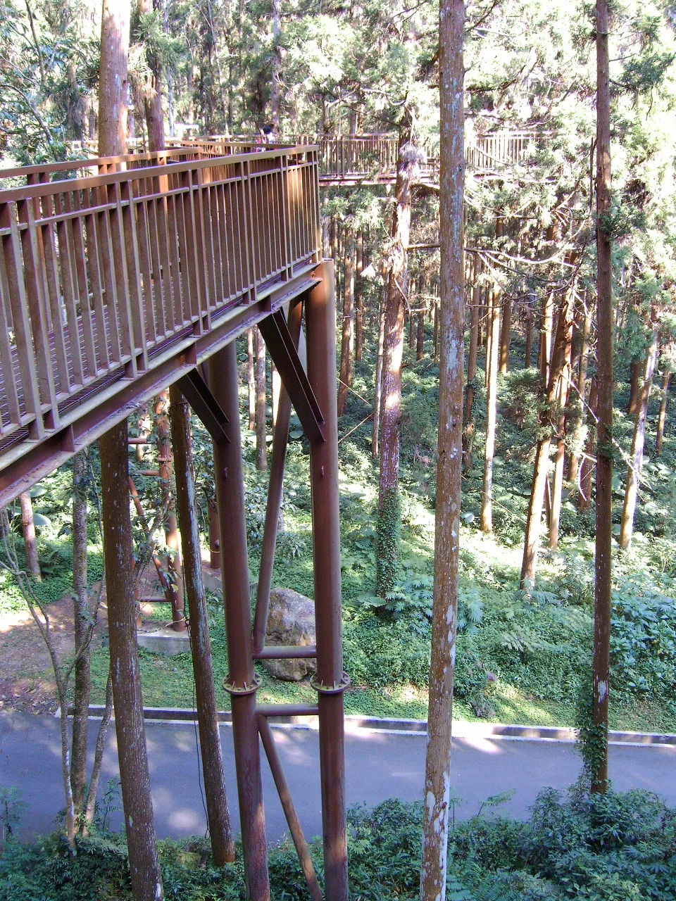 溪頭杉林溪步道健行，第 3 張照片（image222.jpeg）