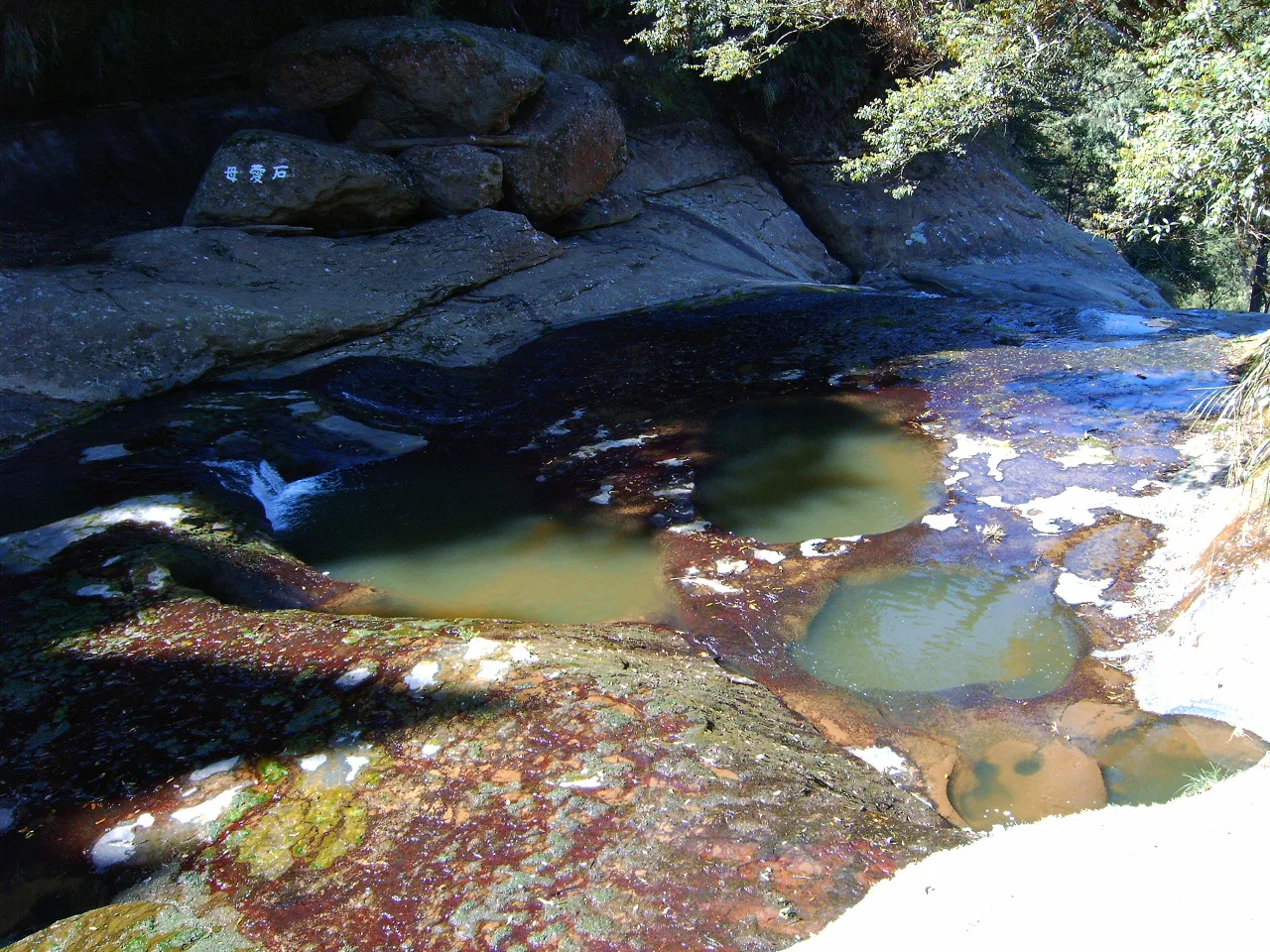 溪頭杉林溪步道健行，第 4 張照片（image223.jpeg）